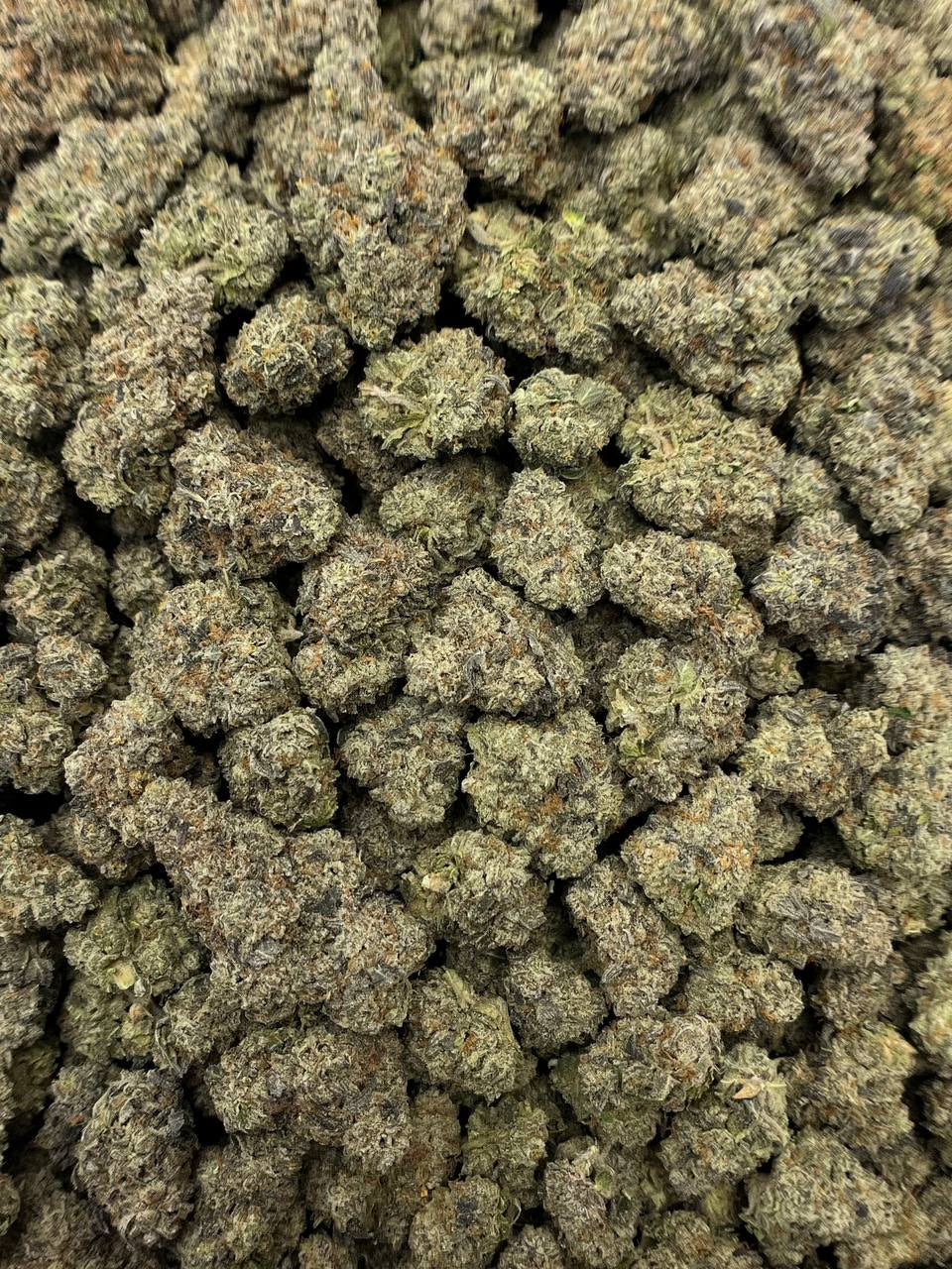 Tropics Exotic Flower - Jungle Cake