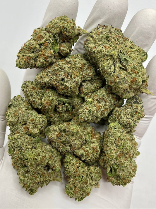 Tropics Exotic Flower - Double Stuff