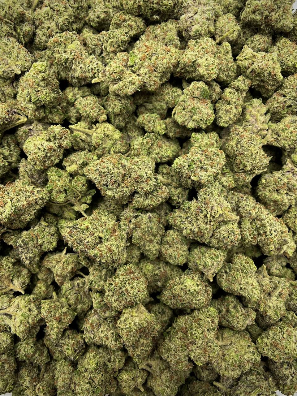 Tropics Exotic Flower - Double Stuff