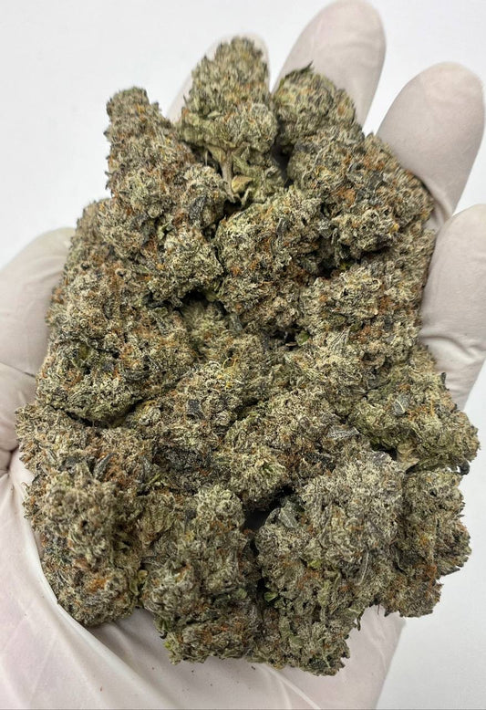 Tropics Exotic Flower  - Jungle Cake