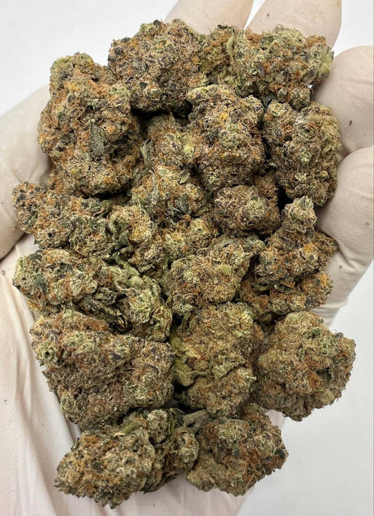 Tropics Exotic Flower - Tangieland