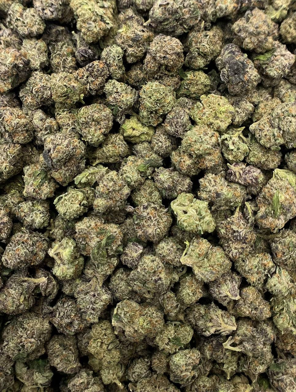 Tropics Exotic Flower - White Gumbo